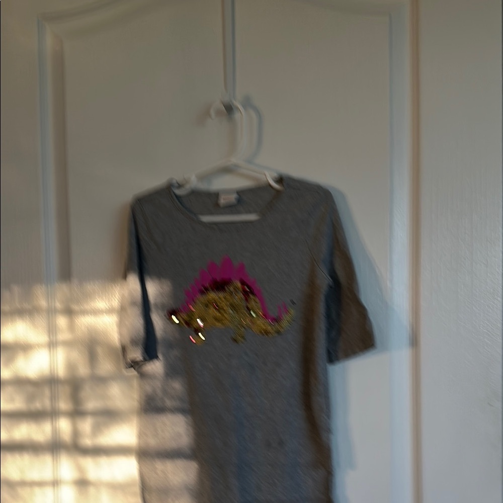 Gray Dinosaur Kids Shirt